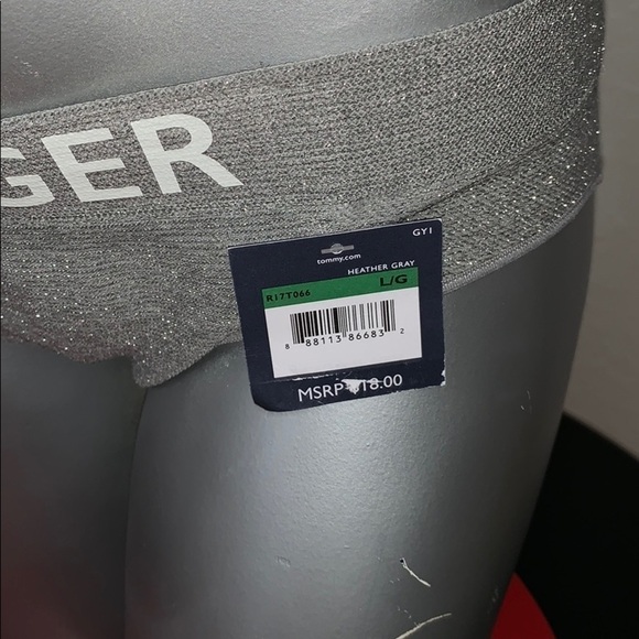 TOMMY HILFIGER HEATHER GRAY SPARKLE HIPSTER PANTY SIZE LARGE - Picture 6 of 7